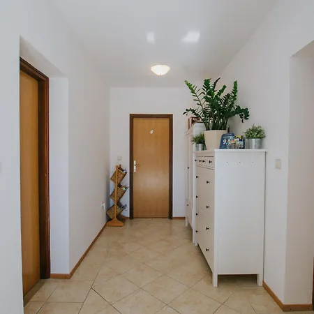 Civadelic Traù