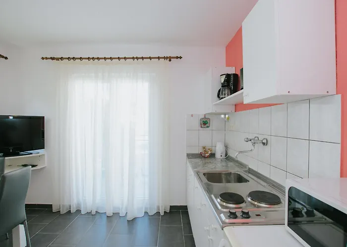 Civadelic 트로기르