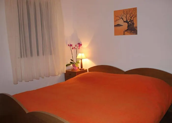 Civadelic 트로기르